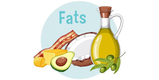 How to Incorporate Healthy Fats into Your Diet for Optimal Wellness