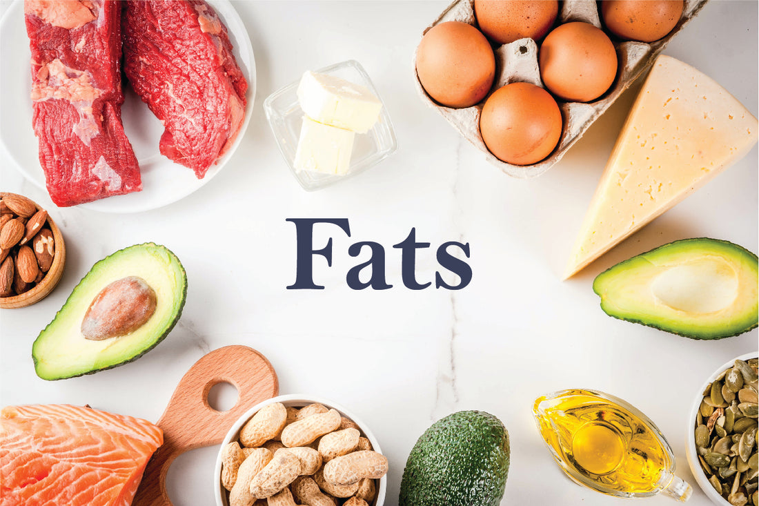 Understanding Fats in Food